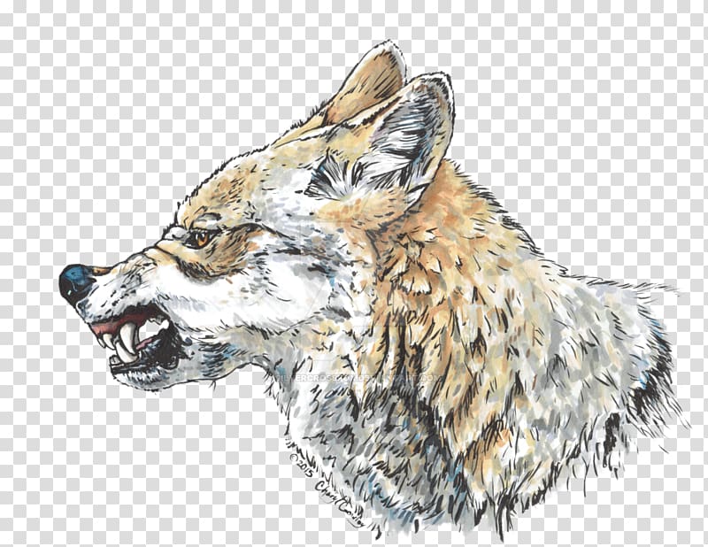 Red fox Wolf Coyote Cross fox Snarl, wolf transparent background PNG clipart