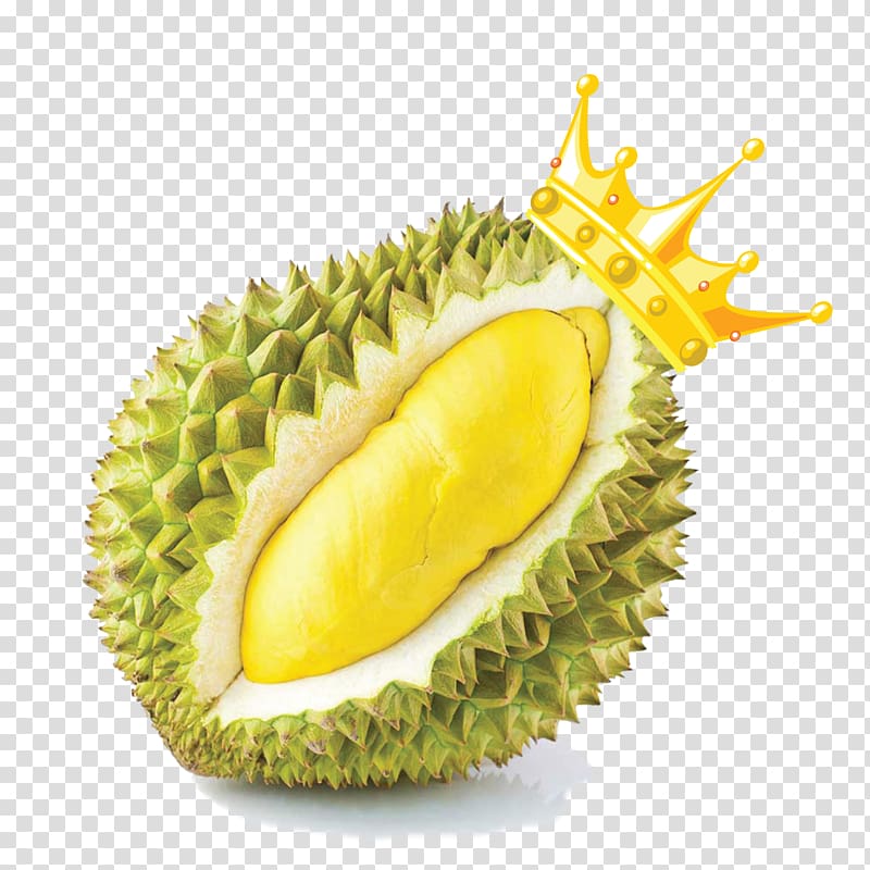 king of fruits with crown , Durio zibethinus Thai cuisine Fruit Food Snack, Durian transparent background PNG clipart