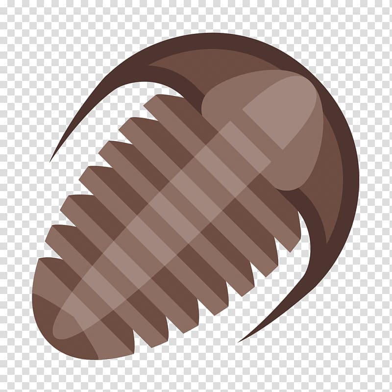Trilobite Computer Icons Fossil , shelled transparent background PNG clipart