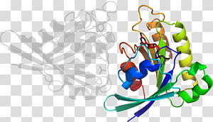 Organism , design transparent background PNG clipart thumbnail