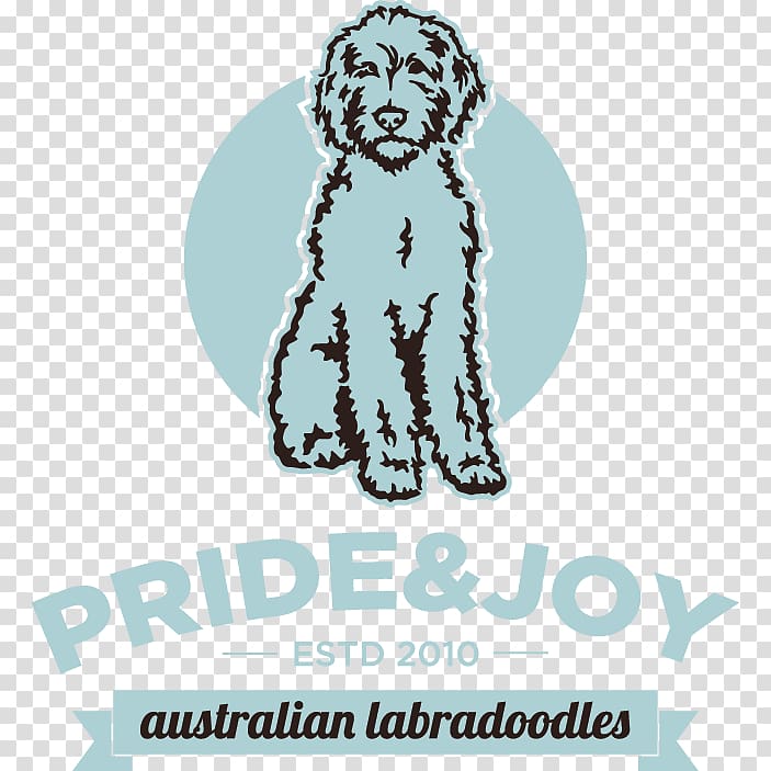 Labradoodle Goldendoodle Labrador Retriever Golden Retriever Puppy, golden retriever transparent background PNG clipart