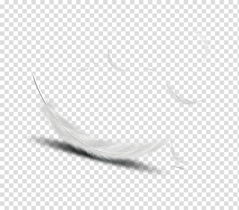 Black and white Pattern, feather transparent background PNG clipart