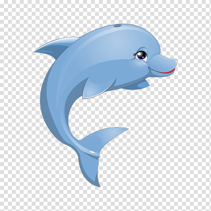 White-beaked dolphin Animation Wall decal Sticker, dolphin cartoon transparent background PNG clipart