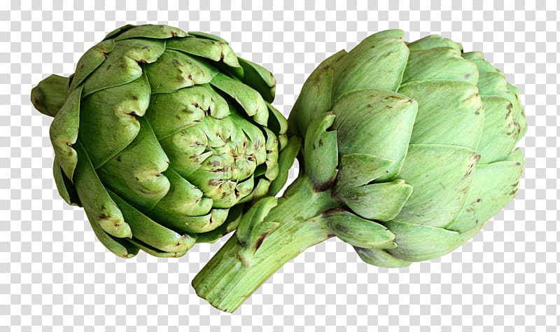 Artichoke Vegetable Food Sweet corn Cabbage, Artichoke transparent background PNG clipart