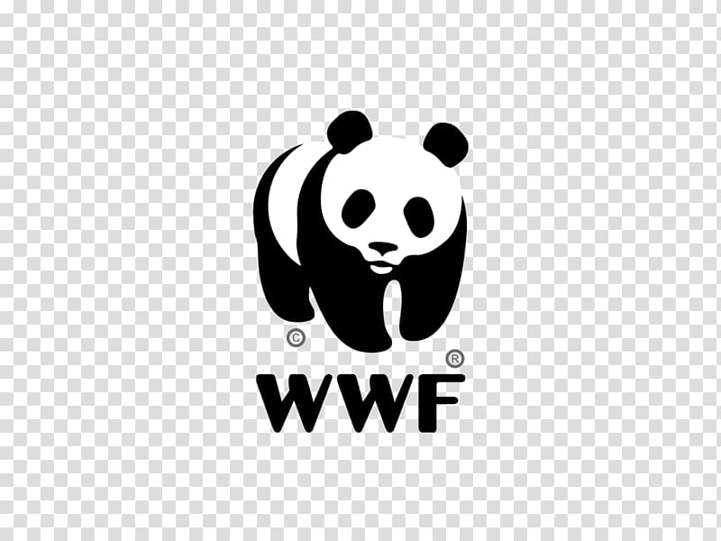 Giant panda World Wide Fund for Nature International WWF-Australia Endangered species, 5 examples of endangered species transparent background PNG clipart