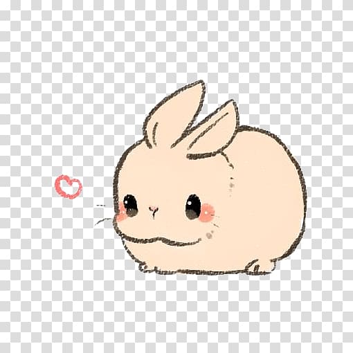 bunny transparent