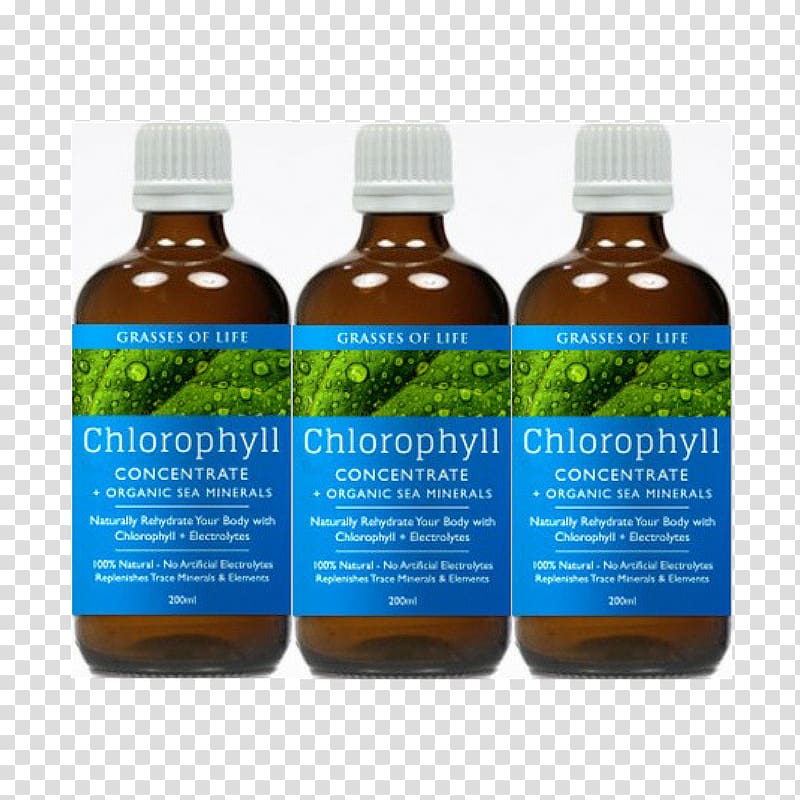 Sport Electrolyte Grasses of Life Chlorophyll Hydrate, Aloe Vera Cosmetics Australia transparent background PNG clipart