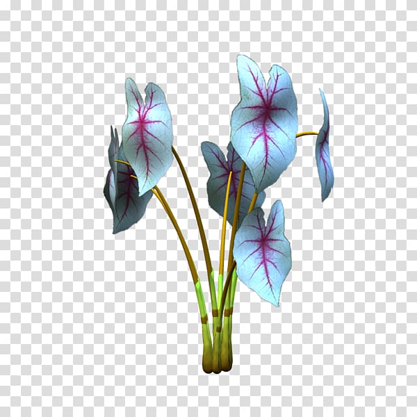 Violet Cut flowers Plant stem Violaceae, violet transparent background PNG clipart