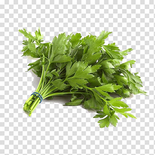 Parsley Organic food Vegetable Leaf, vegetable transparent background PNG clipart