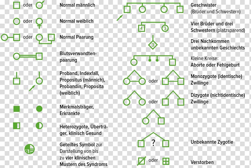 Document Technology Family tree Line Genealogy, technology transparent background PNG clipart