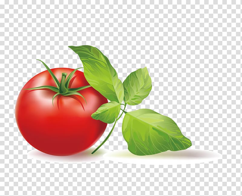 red tomato art, Cherry tomato Italian tomato pie , tomato transparent background PNG clipart