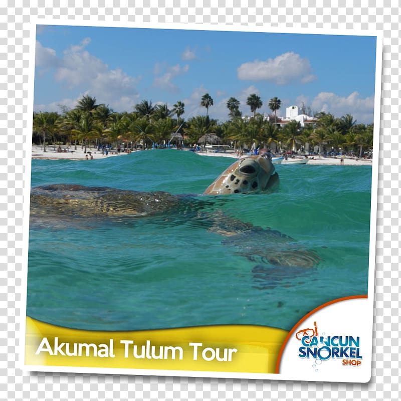Tulum Akumal Cancún Chichen Itza Ek' Balam, Tulum transparent background PNG clipart