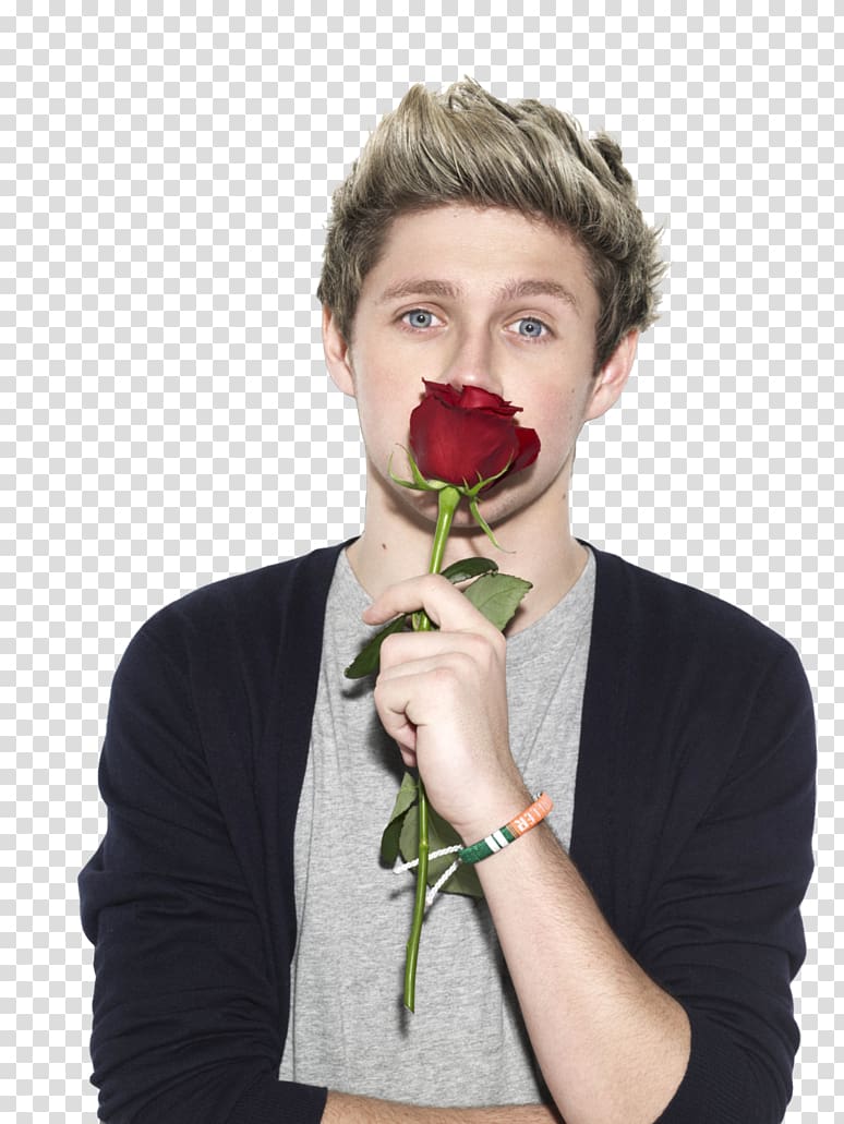 Niall Horan One Direction Drag Me Down, one direction transparent background PNG clipart