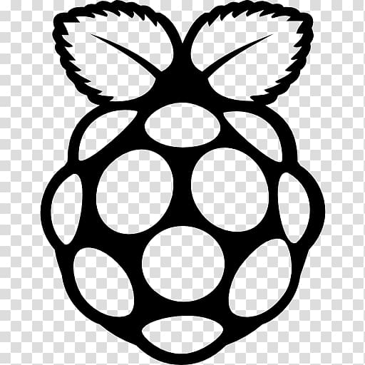 Raspberry Pi Computer Icons The MagPi, raspberries transparent background PNG clipart