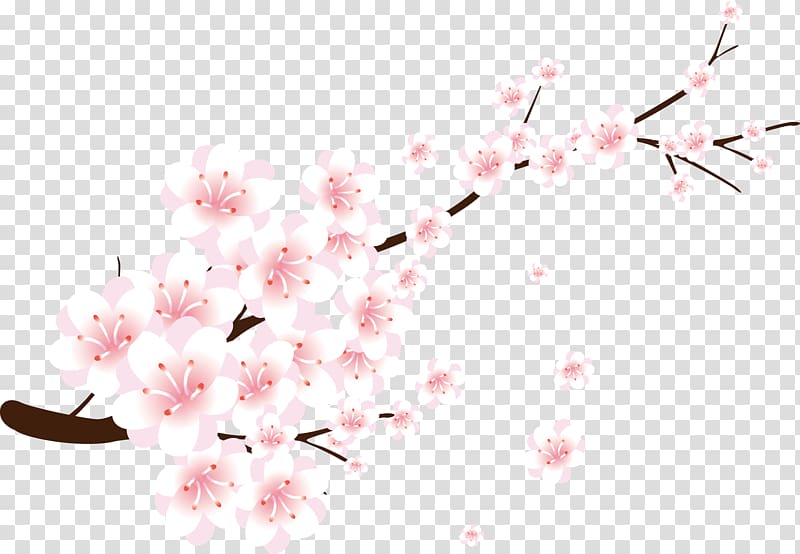 Gratis , Peach blossom transparent background PNG clipart