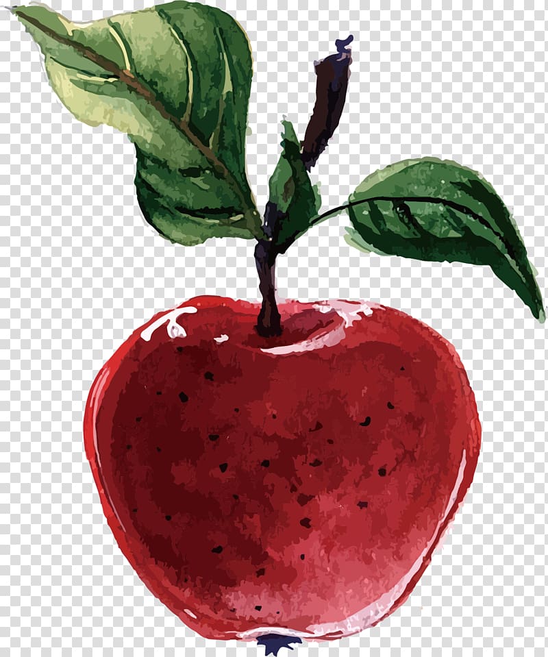packs Plant-based diet Adobe Illustrator, Red apple transparent background PNG clipart