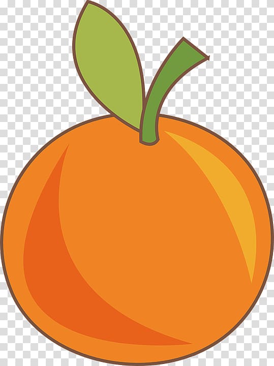 Orange S.A. Fruit Food Drawing, orange fruit transparent background PNG clipart