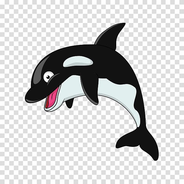 Killer whale , others transparent background PNG clipart