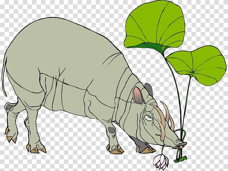 Pig Common warthog , pig transparent background PNG clipart