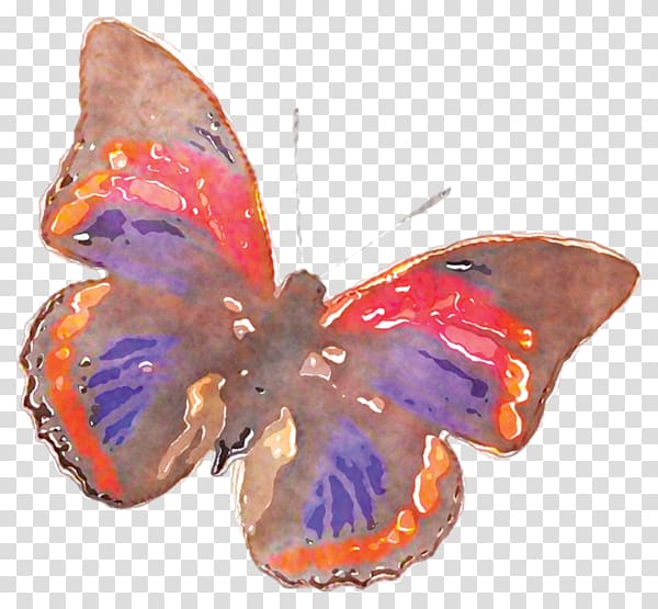Butterfly Nymphalidae Watercolor painting, Watercolor Butterfly transparent background PNG clipart