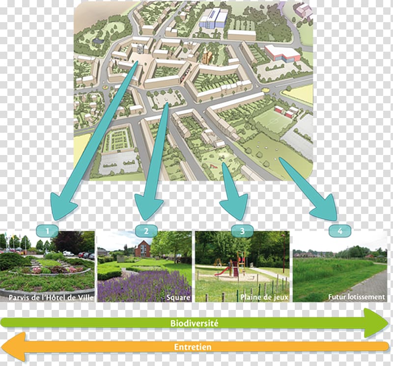 Sustainable gardening Open space reserve Comparison and contrast of classification schemes in linguistics and metadata Public space, classification la transparent background PNG clipart