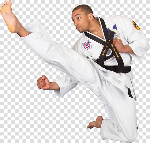 American Taekwondo Association Martial arts Karate Self-defense, martial arts transparent background PNG clipart
