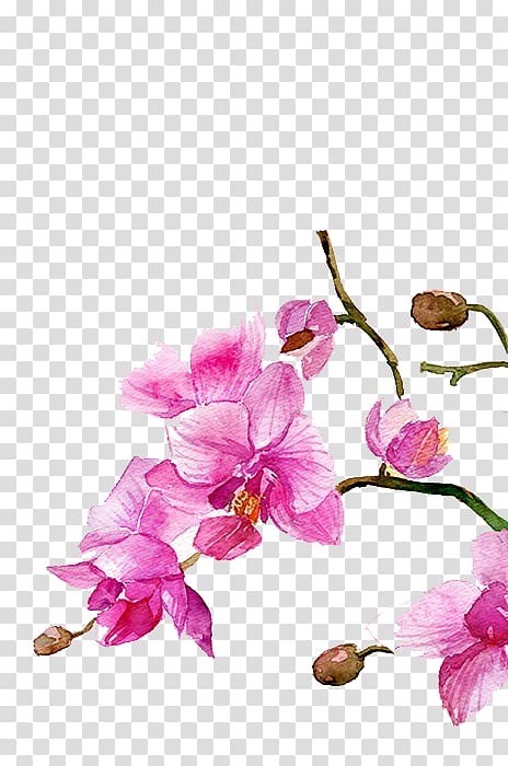 pink petaled flower digital art, Watercolour Flowers Watercolor painting Drawing, Watercolor flowers transparent background PNG clipart