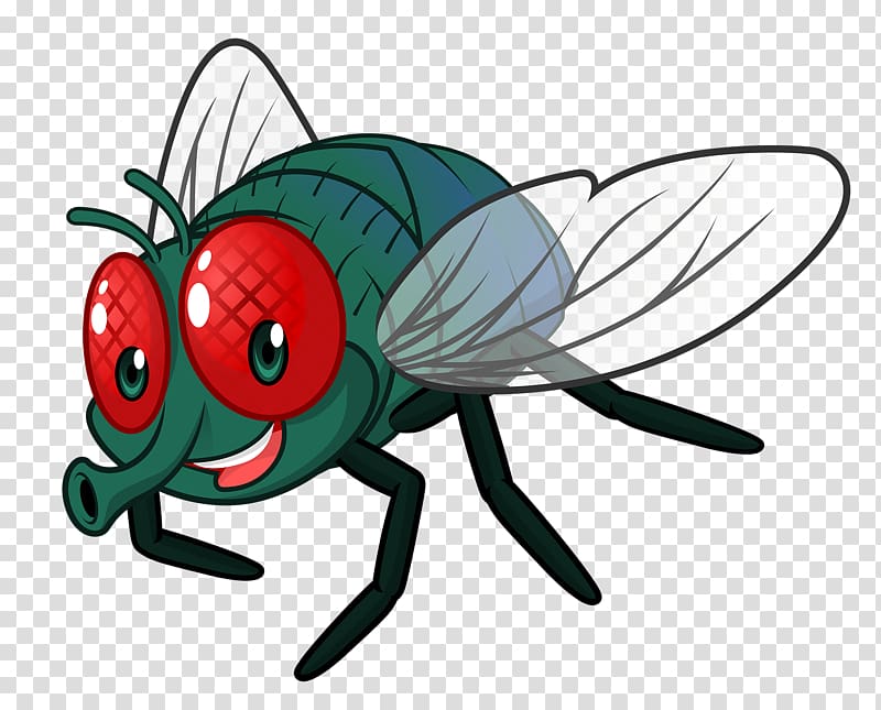 Green and red fly illustration, Cartoon Fly , Cute little bugs
