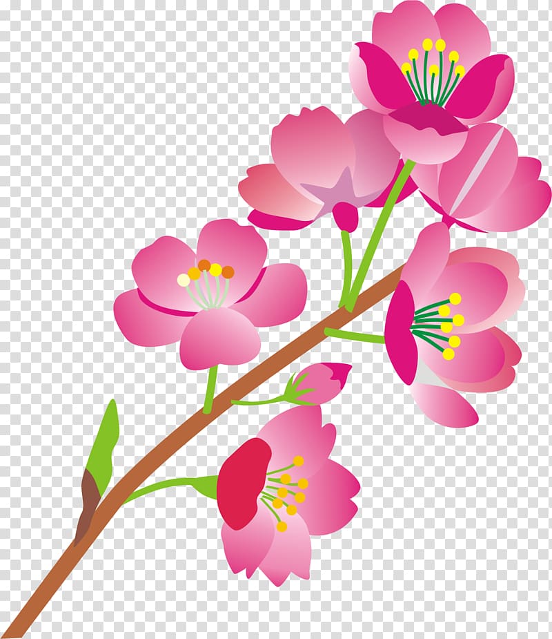 Windows thumbnail cache Flower Floral design 0, 荞麦面 transparent background PNG clipart