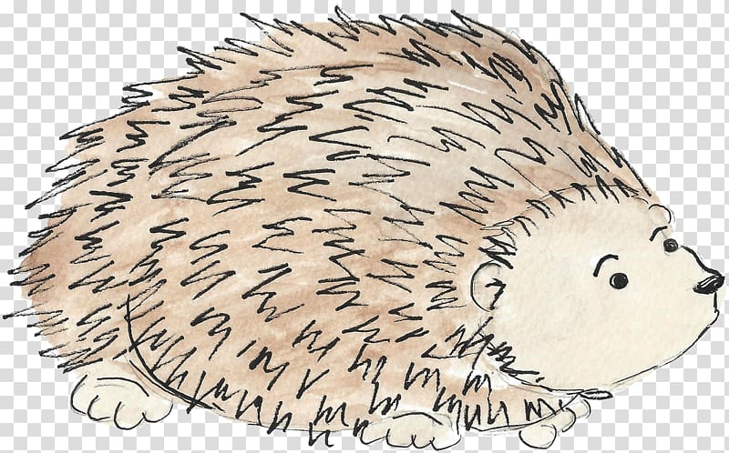 Domesticated hedgehog Beaver Porcupine Whiskers, Hedgehog watercolor transparent background PNG clipart