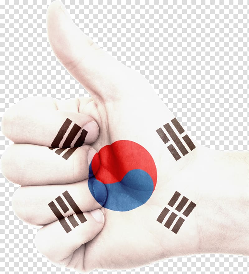 Flag of South Korea Flag of Japan Flag of North Korea, Flag transparent background PNG clipart