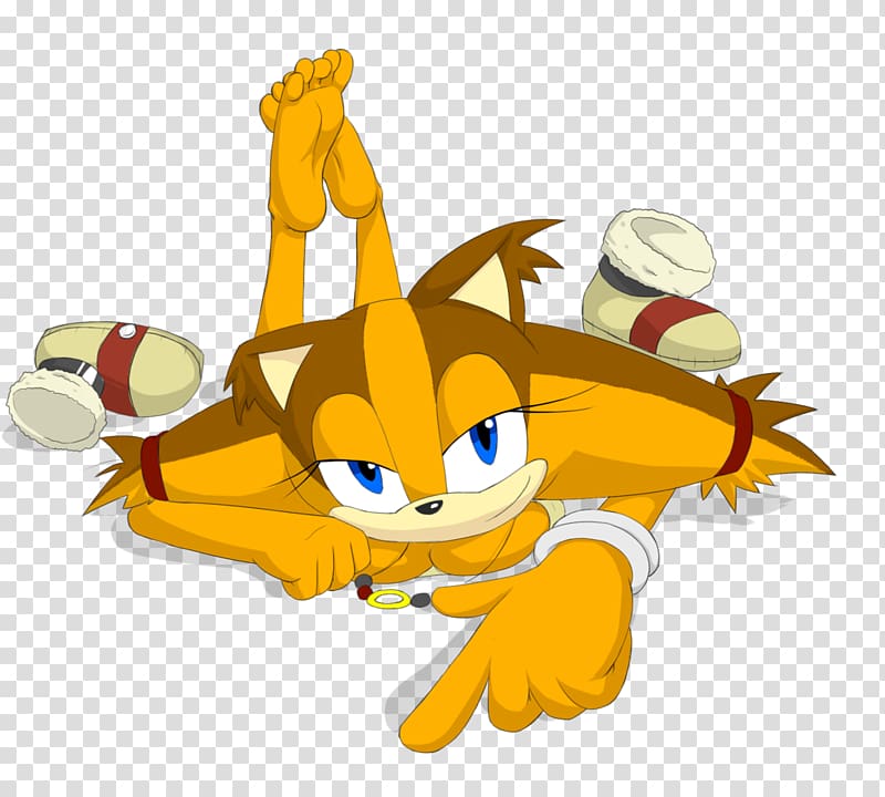 Sticks the Badger Sonic Boom Tails Foot Carnivora, others transparent background PNG clipart