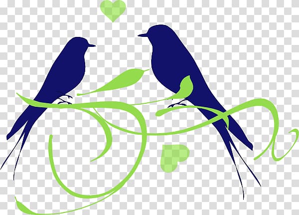 Lovebird , birds-wedding transparent background PNG clipart