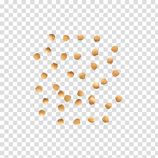 Point, chickpea transparent background PNG clipart