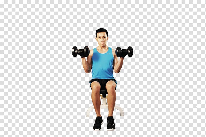 Weight training Biceps curl Dumbbell Barbell Wrist curl, dumbbell transparent background PNG clipart