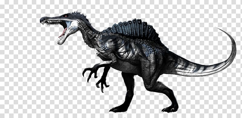 Spinosaurus Velociraptor Primal Carnage: Extinction Brachiosaurus, dinosaur transparent background PNG clipart