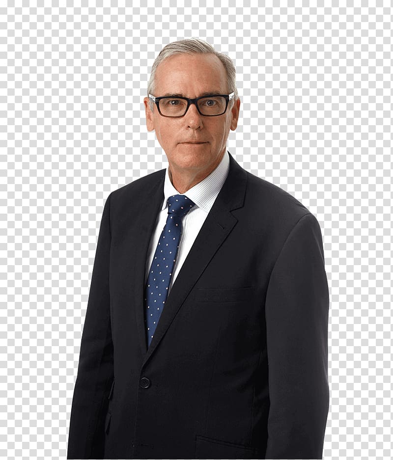 Business Lawyer Chief Executive Greenberg Traurig Blank Rome, Business transparent background PNG clipart