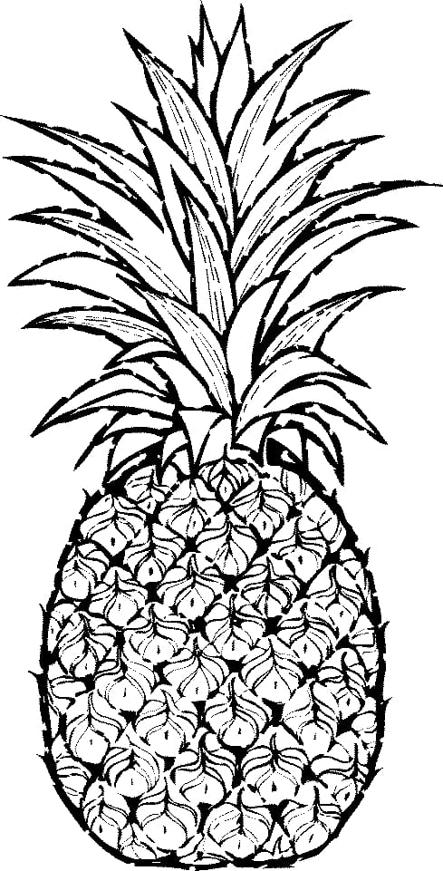 Pineapple Drawing , Pineapple transparent background PNG clipart