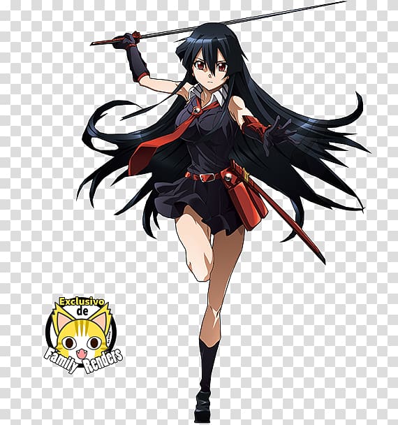 Akame anime girl-Design Desktop Wallpaper Preview