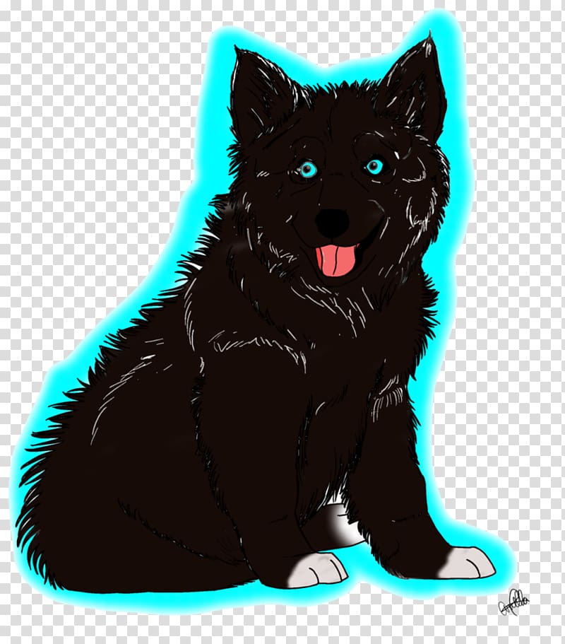 Schipperke Black cat Whiskers Dog breed, Wolf paw transparent background PNG clipart