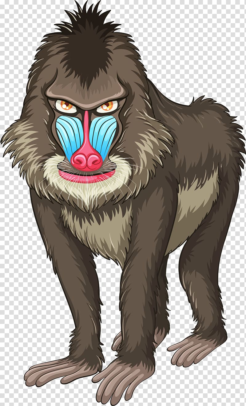 Mandrill Ape Hamadryas baboon , monkey transparent background PNG clipart