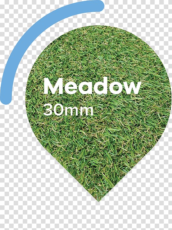 Lawn Artificial turf Garden Meadow Thatch, medow transparent background PNG clipart