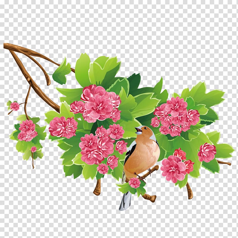 Flower Free content , Fine rose tree transparent background PNG clipart