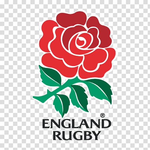 England national rugby union team Rugby World Cup Australia national rugby union team Scotland national rugby union team Irish Rugby, english rose transparent background PNG clipart