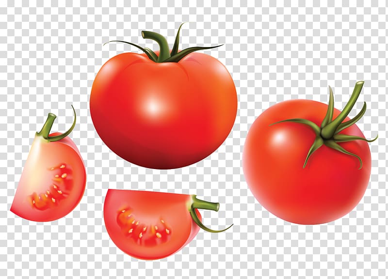 Tomato soup Euclidean Vegetable, Cartoon tomatoes transparent background PNG clipart