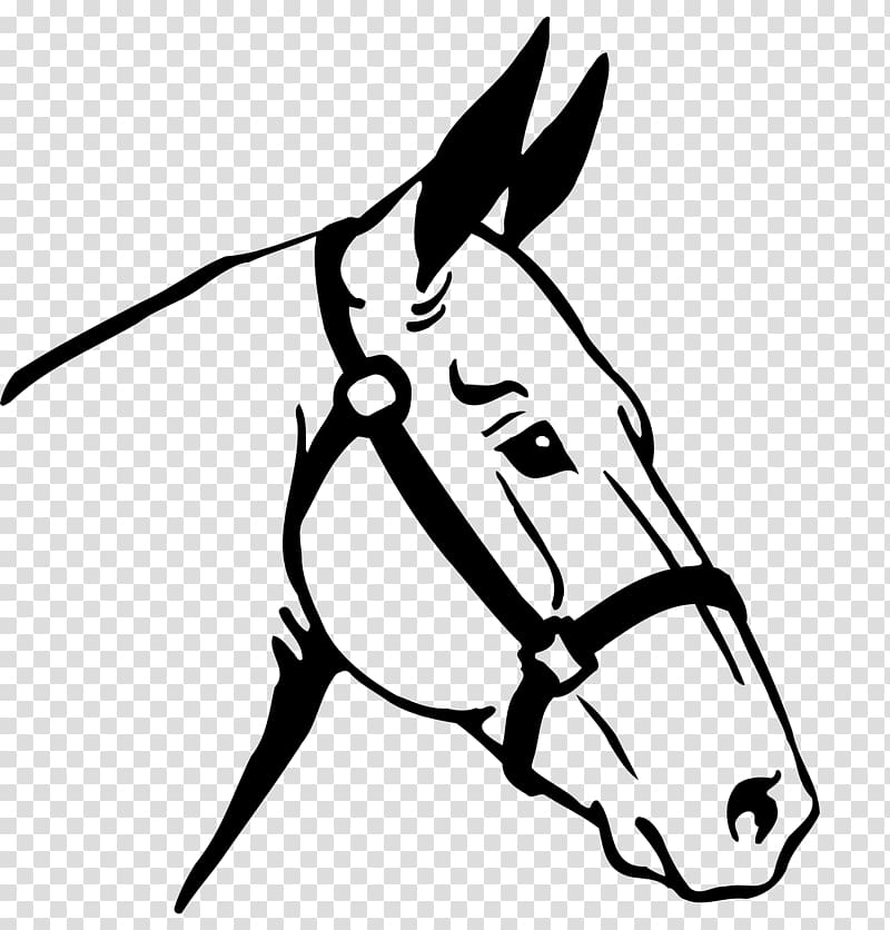 Thoroughbred Stallion Equestrian Draft horse, others transparent background PNG clipart