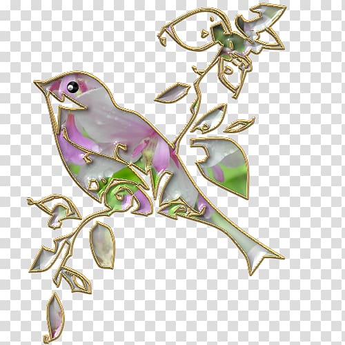 Bird Painting , Bird transparent background PNG clipart