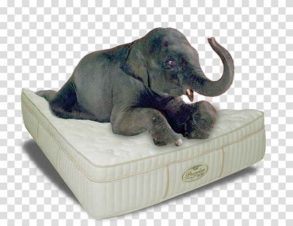 Mattress Bedroom Furniture Sets Indian elephant Headboard, Mattress transparent background PNG clipart