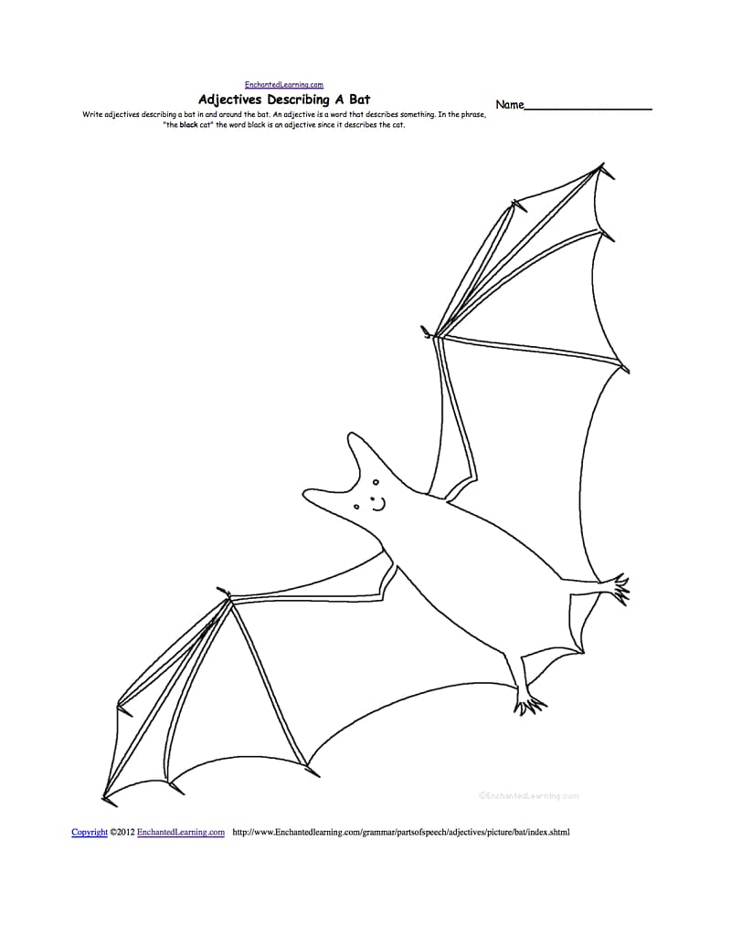Megabat Drawing Worksheet Anatomy, Drawings Of Fruit Bats transparent background PNG clipart