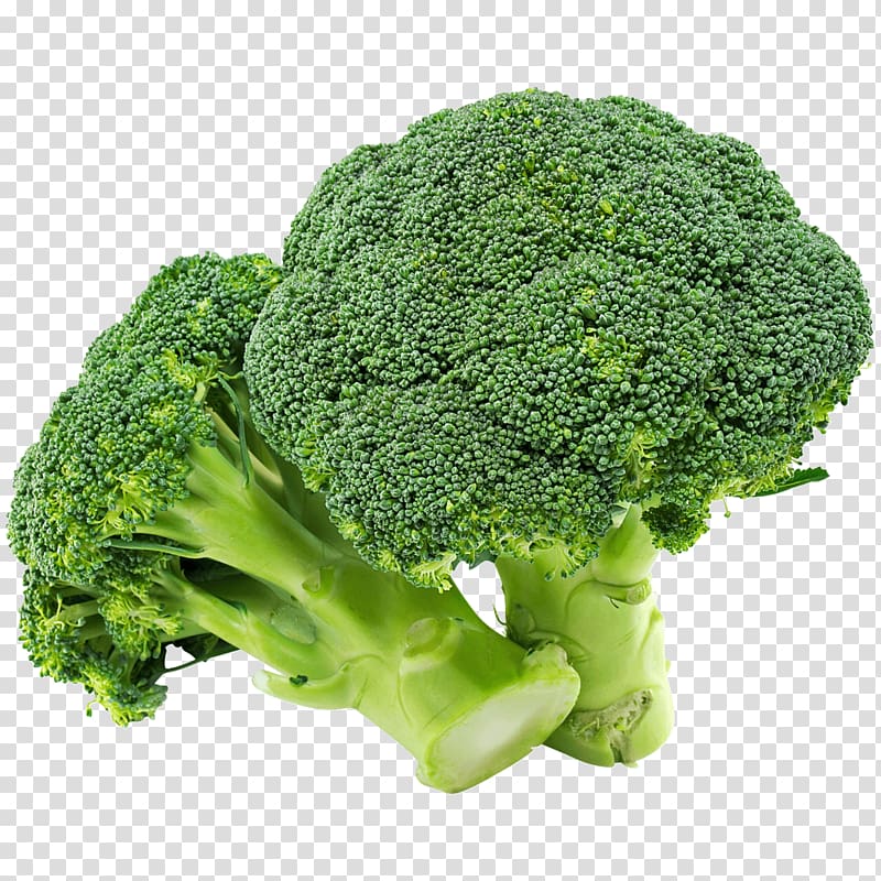 green broccolis, Broccoli Organic food Cauliflower Vegetable, broccoli transparent background PNG clipart
